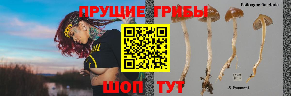 Псилоцибиновые грибы прущие грибы Богородицк